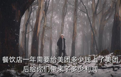 入駐美團安慶一年多少錢,餐飲店一年需要給美團多少錢