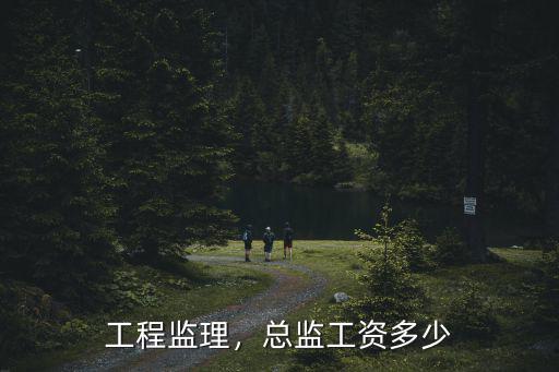 武漢監理員工資3500怎么樣,小小監理員月薪4000