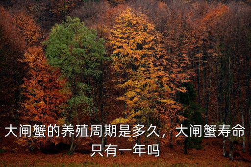 安徽一年養(yǎng)殖有多少噸螃蟹,養(yǎng)殖龍蝦或者是螃蟹