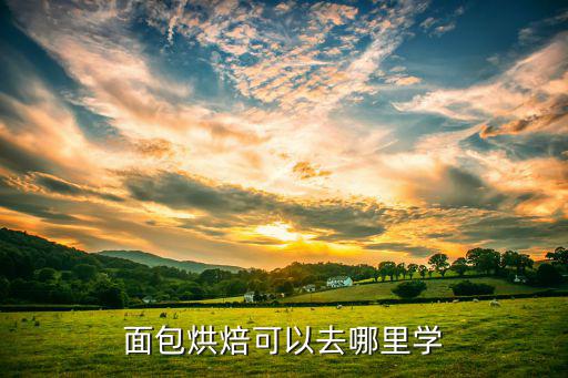 成都有哪里可以學(xué)烘焙料理,成都哪里可以學(xué)烘焙