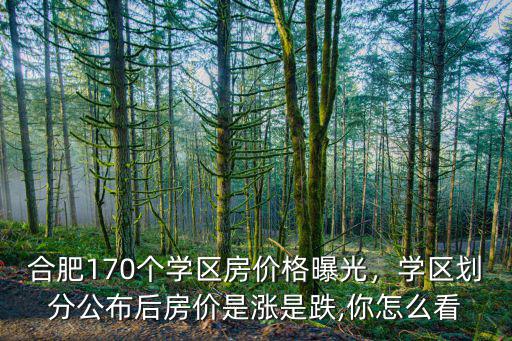 安徽合肥學區(qū)房均價多少,現在入手合肥的學區(qū)房劃算嗎