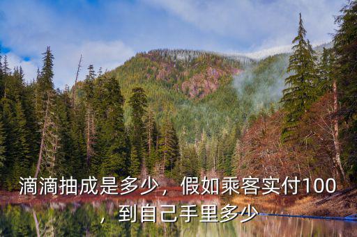 張家口跑滴滴抽成多少,滴滴抽成是多少