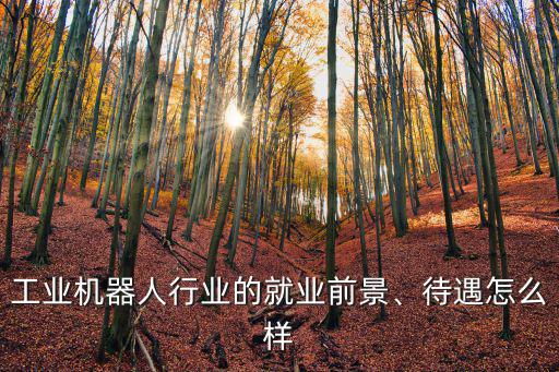 工業(yè)機(jī)器人行業(yè)的就業(yè)前景、待遇怎么樣