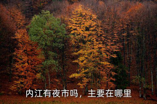 內江有夜市嗎，主要在哪里