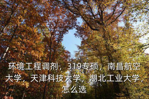 環境工程調劑，319專碩，南昌航空大學，天津科技大學，湖北工業大學，怎么選