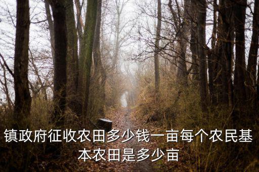 河南省基本農(nóng)田面積是多少,每個農(nóng)民基本農(nóng)田是多少畝