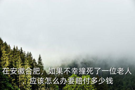 安徽死人要花多少錢,要賠付多少錢