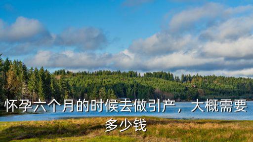 在張家口做引產需要多少錢,大概需要多少錢
