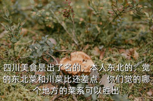 四川美食是出了名的，本人東北的，覺的東北菜和川菜比還差點，你們覺的哪個地方的菜系可以勝出