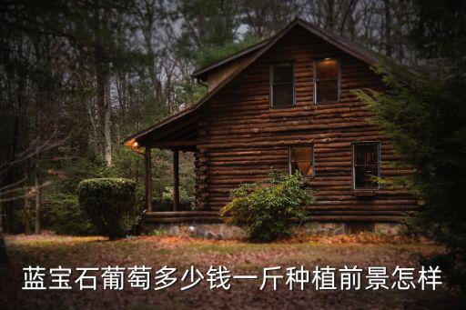 藍(lán)寶石葡萄多少錢(qián)一斤種植前景怎樣