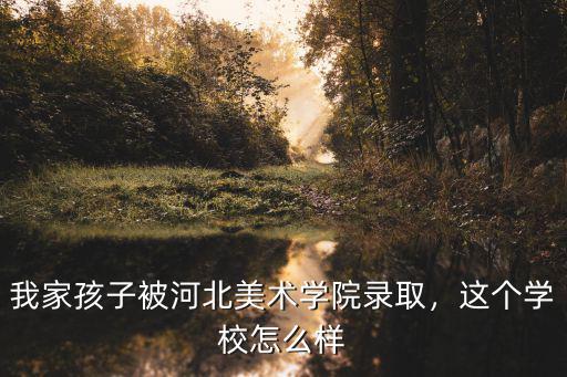 河北美院錄取分多少,河北美術聯考249分