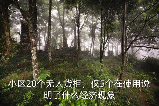 小區(qū)20個無人貨柜，僅5個在使用說明了什么經濟現象