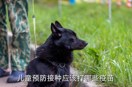 兒童預防接種應該打哪些疫苗