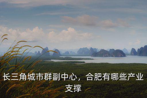 長三角城市群副中心，合肥有哪些產業支撐