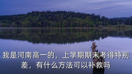我是河南高一的，上學期期末考得特別差，有什么方法可以補救嗎