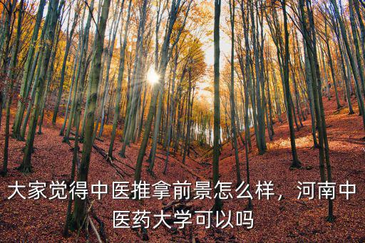 大家覺得中醫(yī)推拿前景怎么樣，河南中醫(yī)藥大學可以嗎