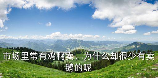 廣元哪里有賣鵝的,為什么卻很少有賣鵝的呢