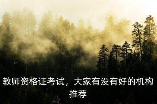 教師資格證考試，大家有沒有好的機構推薦