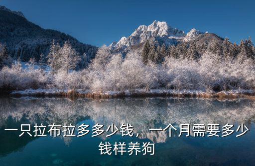 一只拉布拉多多少錢，一個月需要多少錢樣養狗
