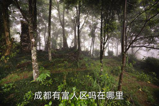 成都有富人區(qū)嗎在哪里