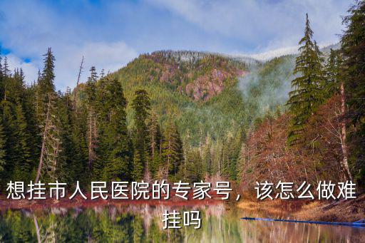 想掛市人民醫院的專家號，該怎么做難掛嗎