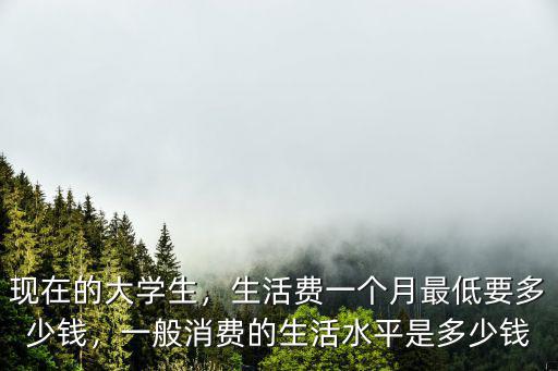 現在的大學生，生活費一個月最低要多少錢，一般消費的生活水平是多少錢