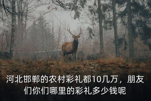 河北邯鄲的農村彩禮都10幾萬，朋友們你們哪里的彩禮多少錢呢