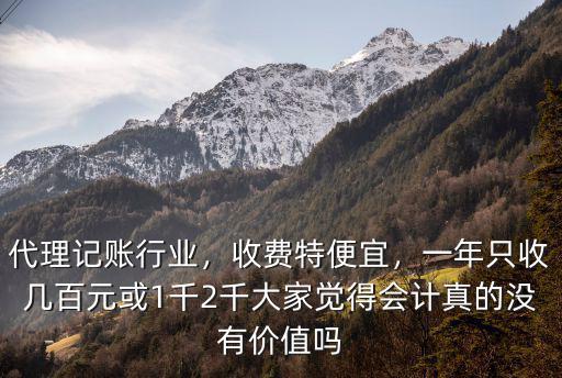 安徽代理記賬代理報稅費用是多少,都是代理記賬