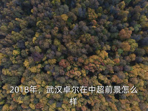 2018年，武漢卓爾在中超前景怎么樣