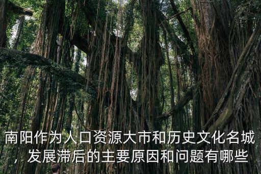 南陽作為人口資源大市和歷史文化名城，發展滯后的主要原因和問題有哪些