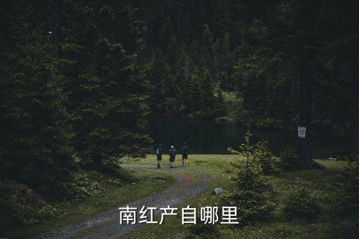 哪里可以撿到涼山南紅,涼山南紅哪里的料子比較好