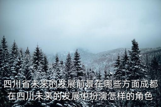 四川省未來的發(fā)展前景在哪些方面成都在四川未來的發(fā)展中扮演怎樣的角色