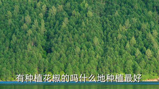 山東陜西四川哪里的花椒好,如何區(qū)分四川花椒和陜西花椒