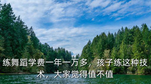 合肥學(xué)舞蹈一年多少錢(qián),學(xué)一支舞蹈要多少錢(qián)