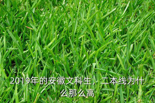 2019年的安徽文科生，二本線為什么那么高