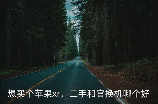 瀘州哪里買二手蘋果xr比較好,二手和官換機哪個好