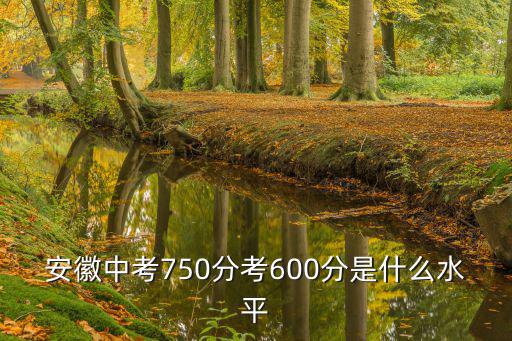 安徽中考考哪些多少分,安徽中考生考670分