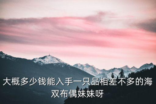 滁州布偶貓價格多少錢一只,一只布偶貓大約什么價位