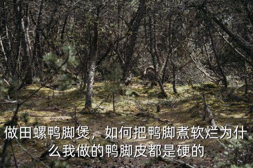 武漢宵夜賣的煲很好吃怎么做,武漢的煨湯該怎么做