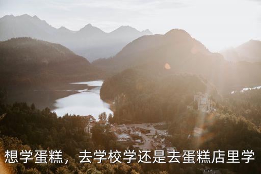 想學蛋糕，去學校學還是去蛋糕店里學