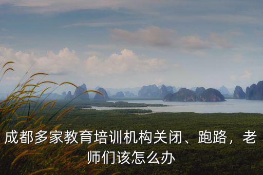 成都哪里有嬰兒輔食培訓,嬰兒輔食是什么