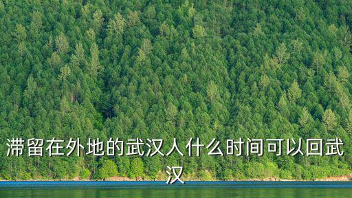 滯留在外地的武漢人什么時間可以回武漢