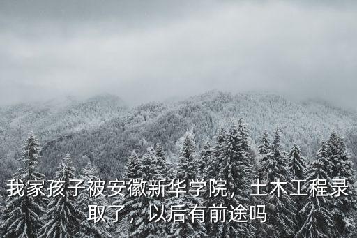 我家孩子被安徽新華學(xué)院，土木工程錄取了，以后有前途嗎