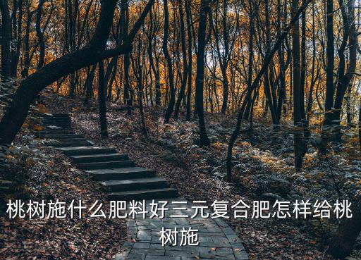 大三元復合肥一棵樹施多少斤,葡萄一畝施多少肥合適