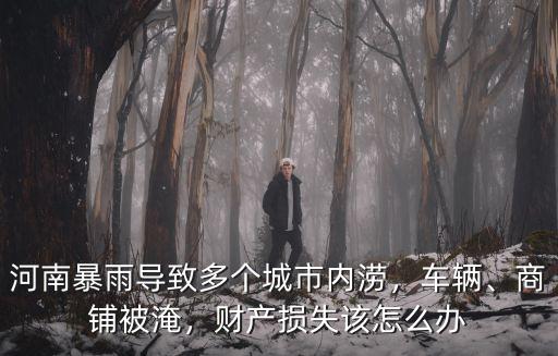 河南洪水個(gè)人損失怎么辦,財(cái)產(chǎn)損失該怎么辦