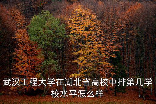 武漢工程大學(xué)化學(xué)工藝學(xué)院怎么樣,武漢工程大學(xué)怎么樣