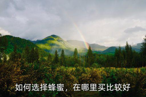 如何選擇蜂蜜，在哪里買比較好