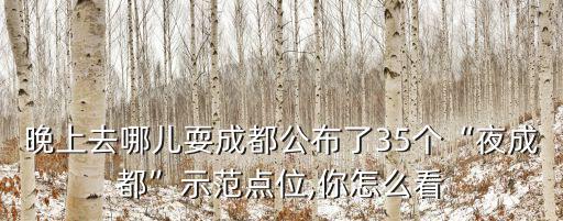 晚上去哪兒耍成都公布了35個(gè)“夜成都”示范點(diǎn)位,你怎么看