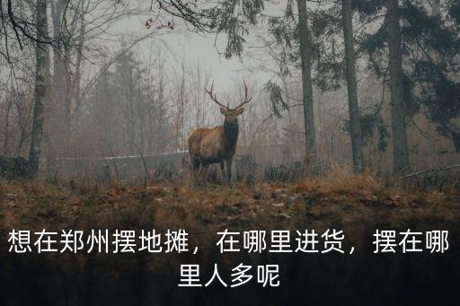 想在鄭州擺地攤，在哪里進貨，擺在哪里人多呢