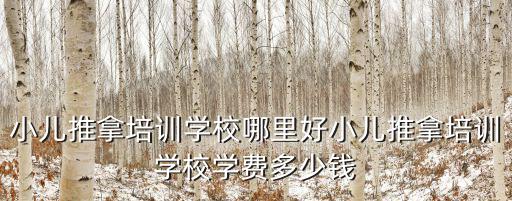 樂山哪里有學(xué)小兒推拿按摩,小兒推拿培訓(xùn)學(xué)校哪里好